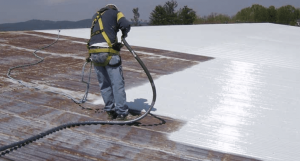 business owners in Loveland